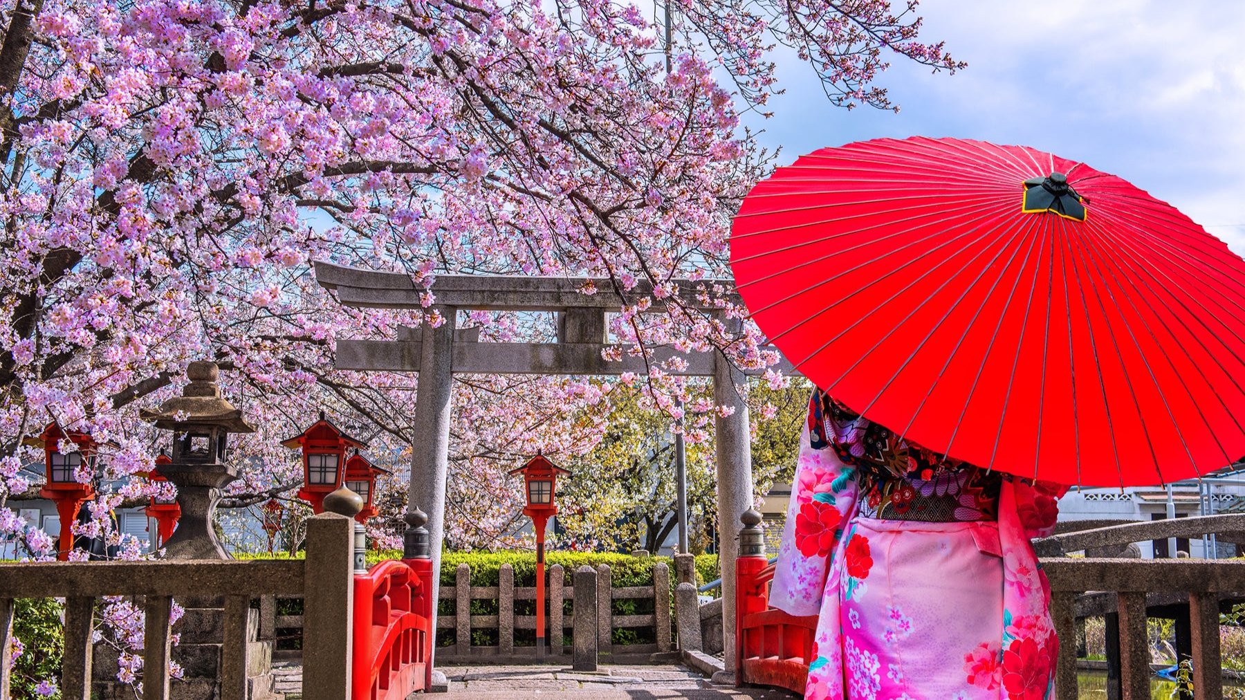 Kyoto_sakura_maiko